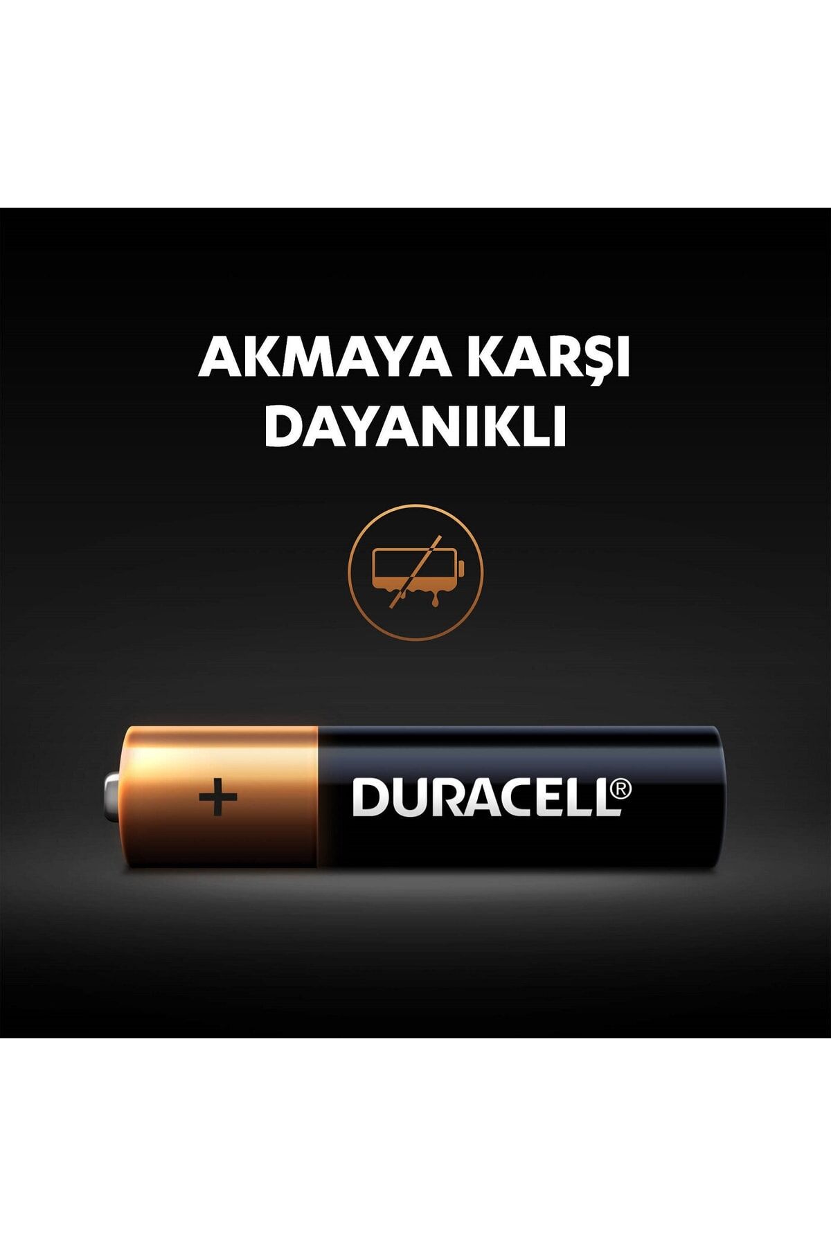 Aaa 2'li Ince Kalem Pil 2 Li Paket